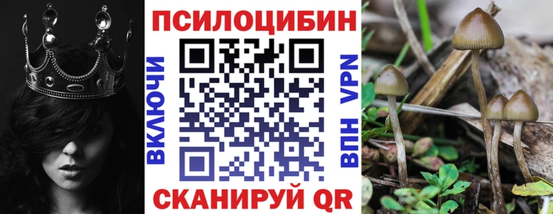 Псилоцибиновые грибы MAGIC MUSHROOMS Камышлов