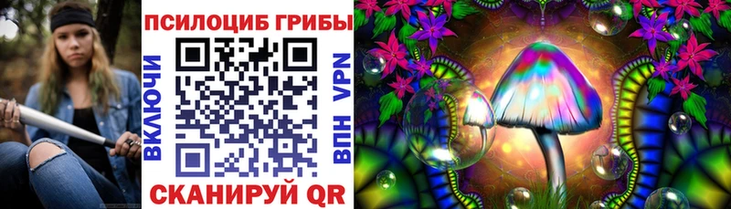 Псилоцибиновые грибы мухоморы  где найти наркотики  Камышлов 